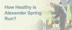 How Healthy is Alexander Spring Run?